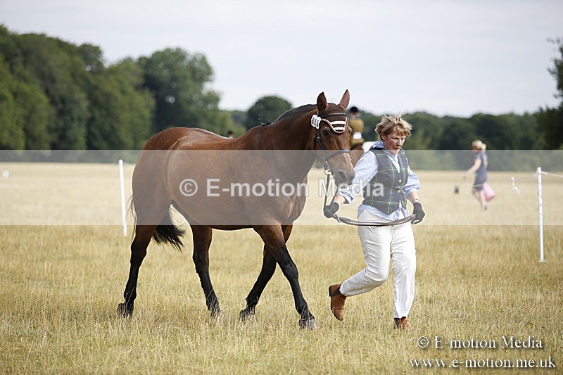 _C7A9398 - BVRC Sow 2018 Ring 2