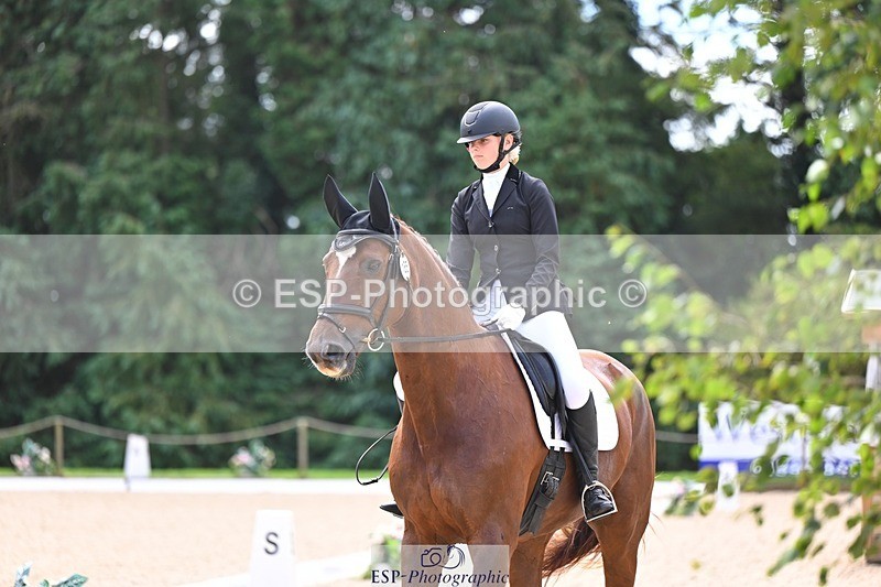 240809-121512-00705 - 185-Daisy.Hedges-Felicia.v