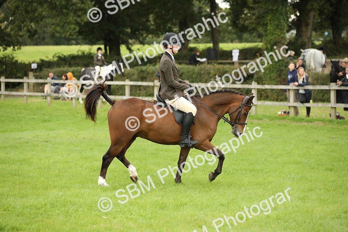 SBM_73743 - S41 - Ridden Equitation (Best Rider)