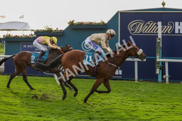 131023-Race 5-Irish Nectar-9876 - Race 5 4.25pm Parsonage Hotel And Cloisters Spa Nursery Handicap