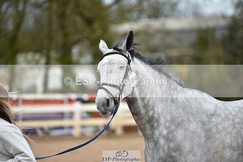 240417A-143310-00558 - 2pm to 3pm