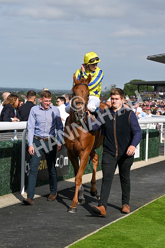 140824-Race 6-Glistening Nights-6920 - Race 6