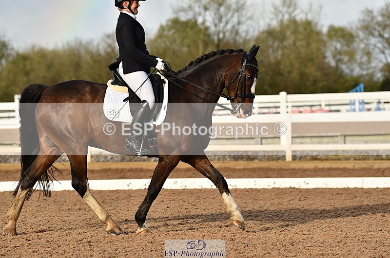 231104A-140206-02007 - Cls 10 Medium 61