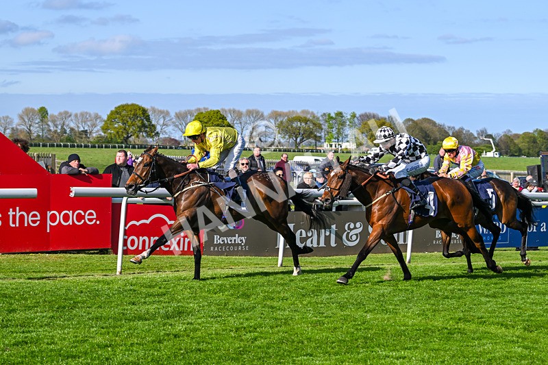 240425-Race 7-Mister Daydream-1807 - Race 7