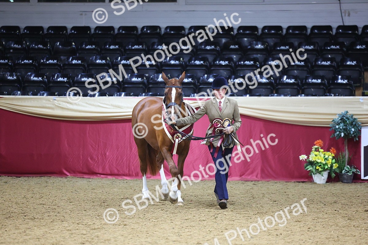 SBM_19820 - Class 901 - Supreme Final - IH Diamond