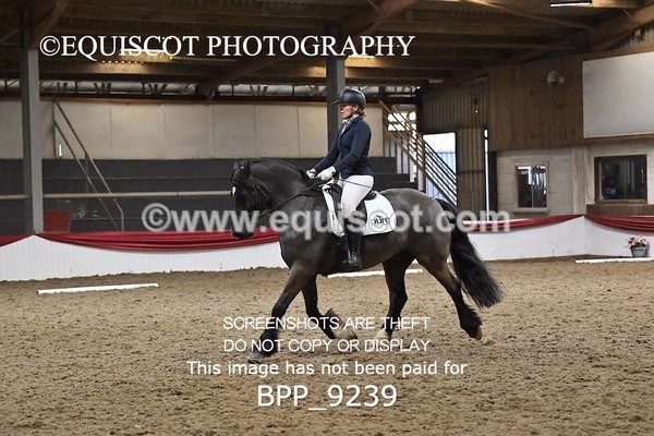 BPP_9239 - ELEM 6