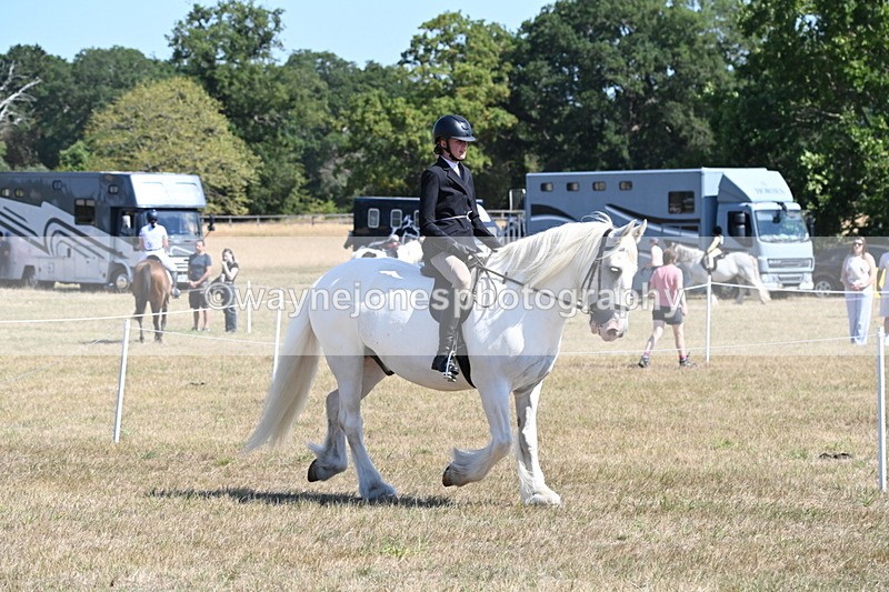 WJ6_8257 - Class 37a Best Loan Pony Ridden