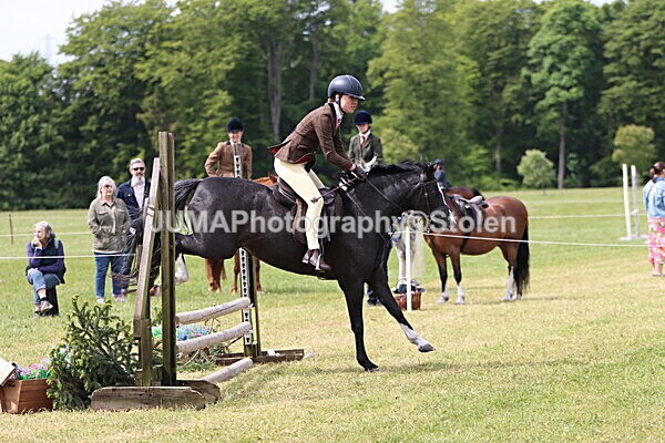 IMG_3190 - Working Hunter