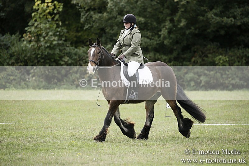BVR080918 105 - BVRC Novice Dressage & CR 08/09/18