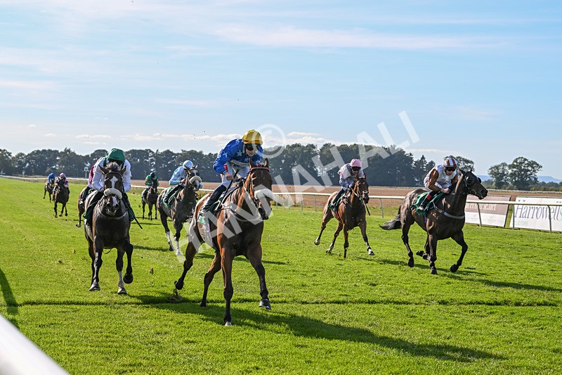 160924-Race 5-King Of The Jungle-2976 - Race 5