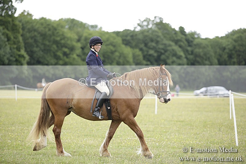 BVR160717-1505 - Ring 1 BVRC Show 16/07/17