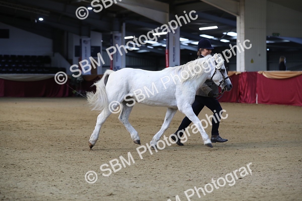SBM_00221 - Class 1a - Area IH Diamond