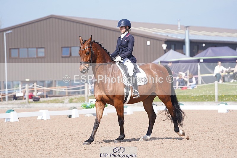 250404-122834-05660 - 028-Elizabeth.Allen-Heraldik