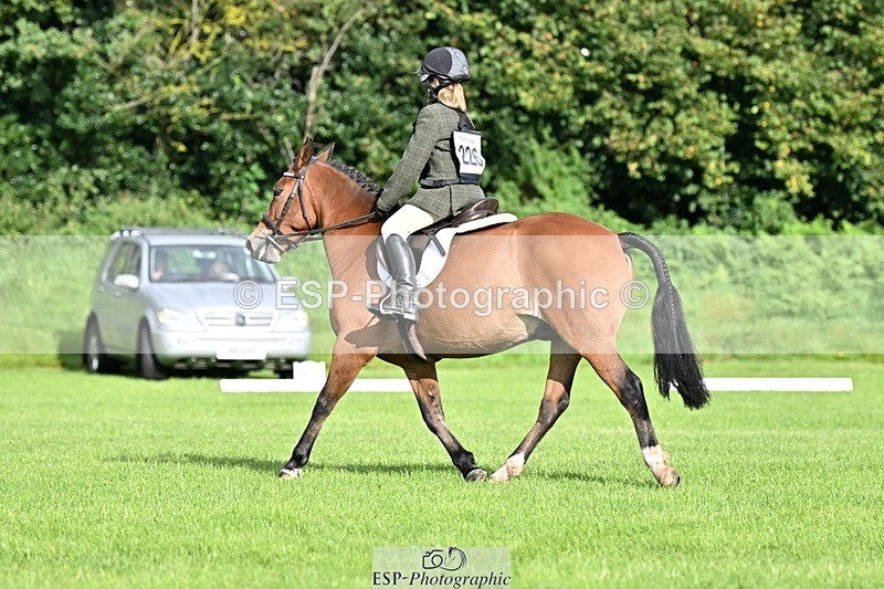 230826-090315-15911 - Sections A & B - 9 to 10am