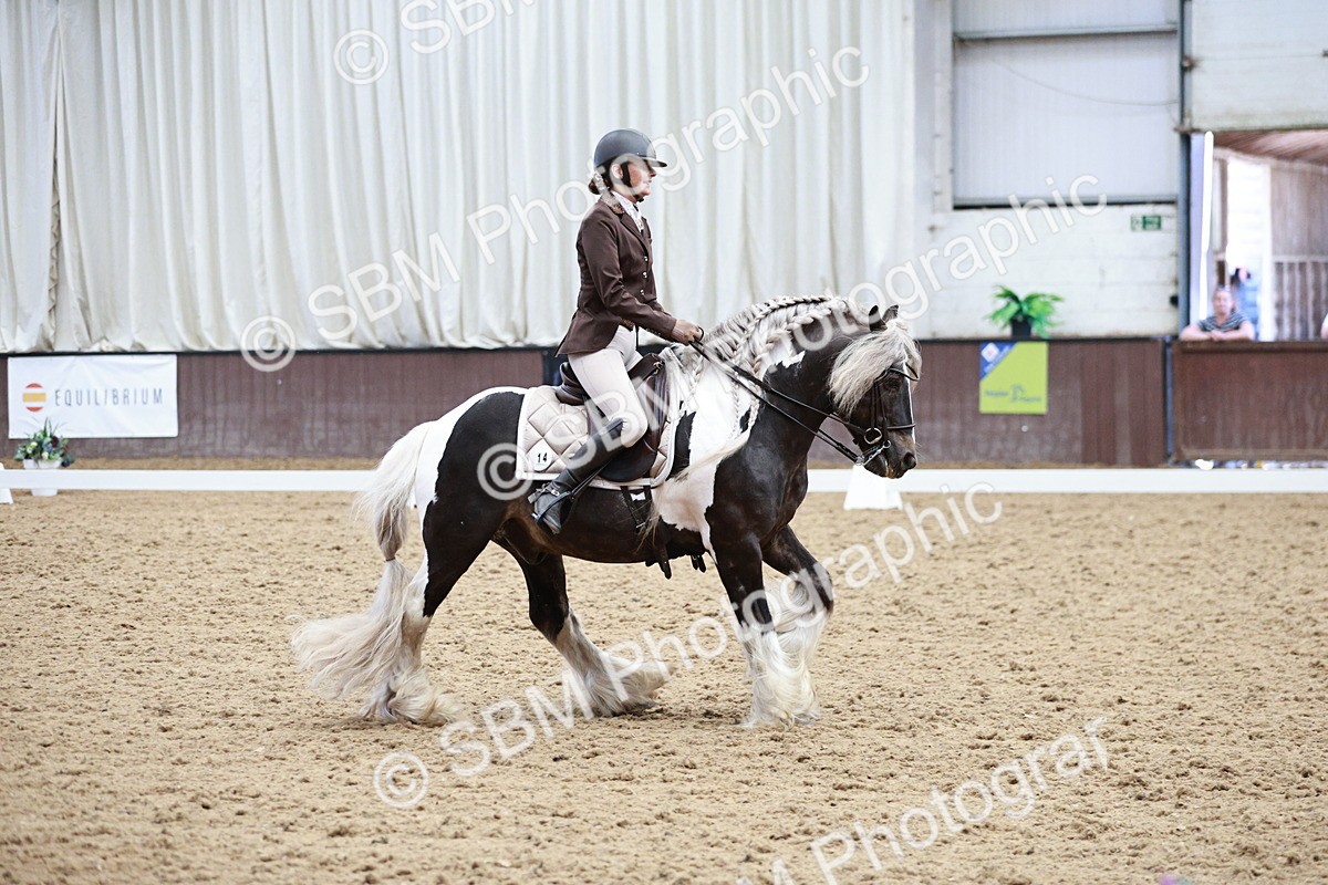 SBM_006033 - Class 17 - Advanced Medium FSM - 13.44-14.48