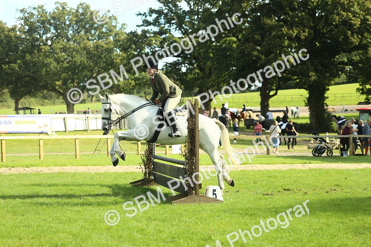 SBM_50548 - S33 - Working Hunter & Working Show Horse