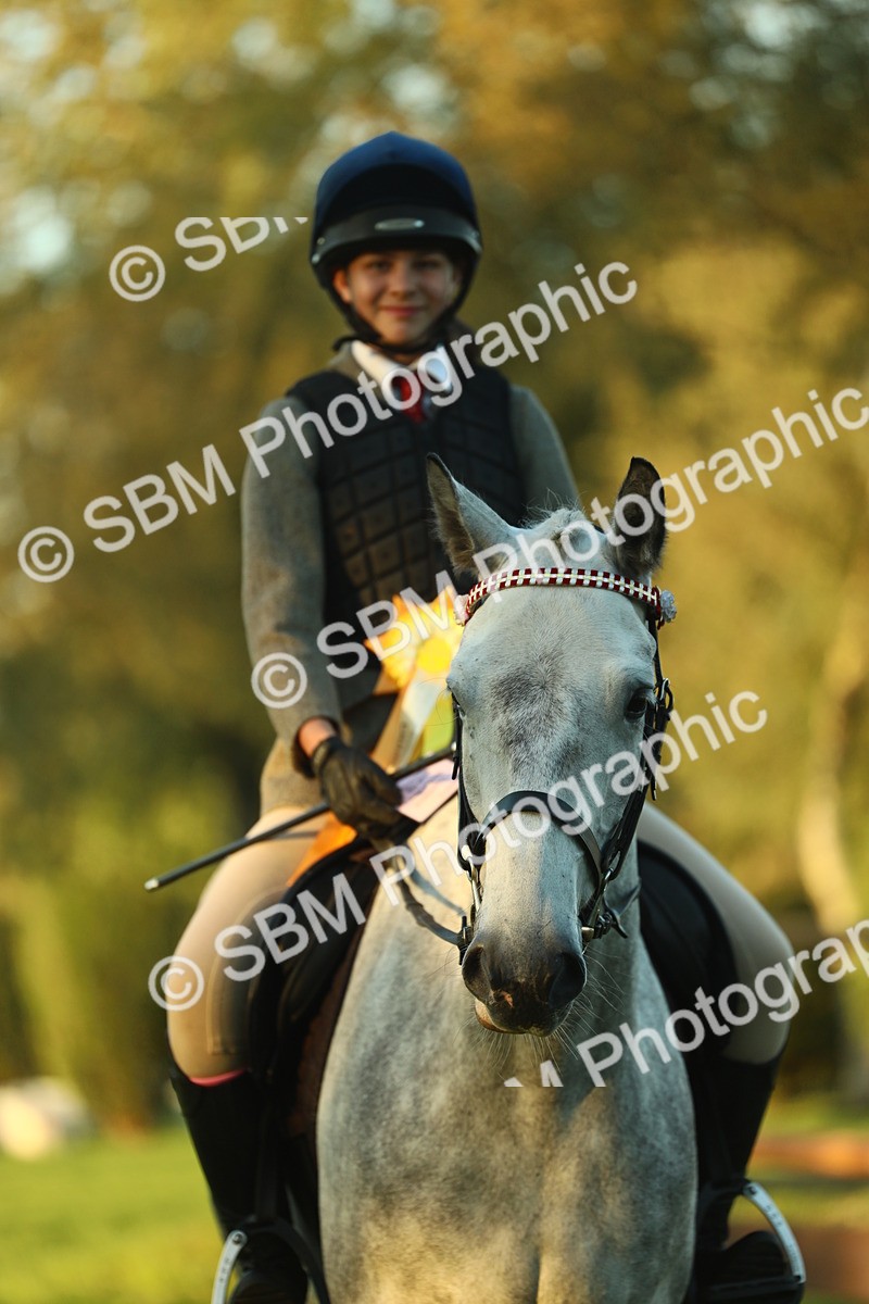SBM_56536 - S14 - Riding Club Horse