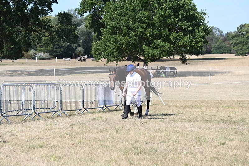 WJ6_9447 - Class 40 Cheekiest Pony/Horse