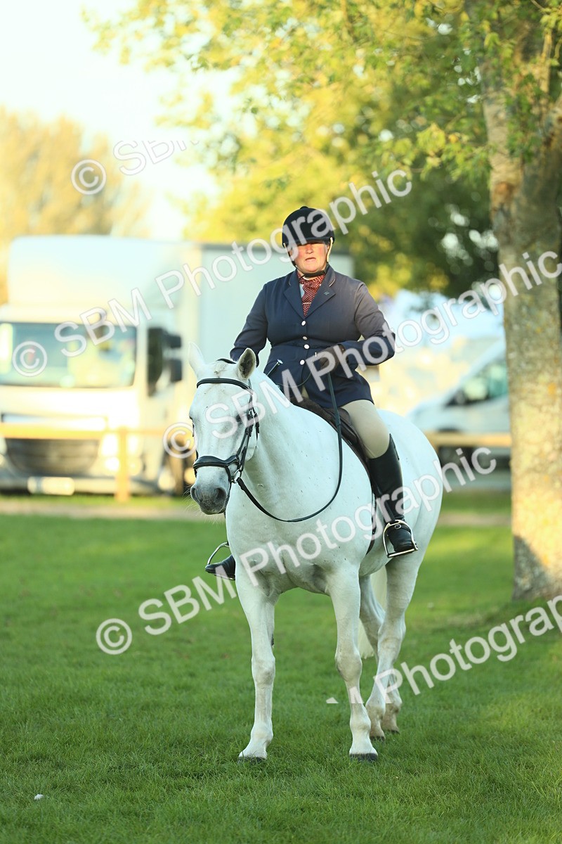 SBM_56440 - S14 - Riding Club Horse