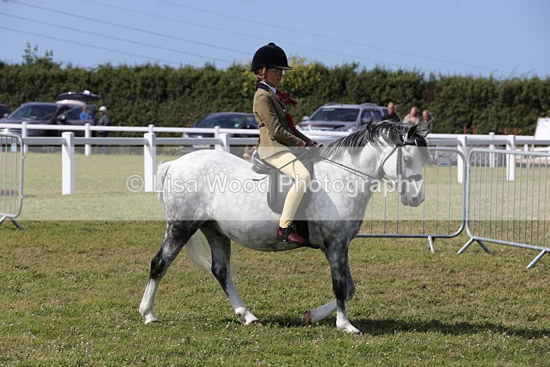 1X9A5483 - M&M Mini Ridden Championship