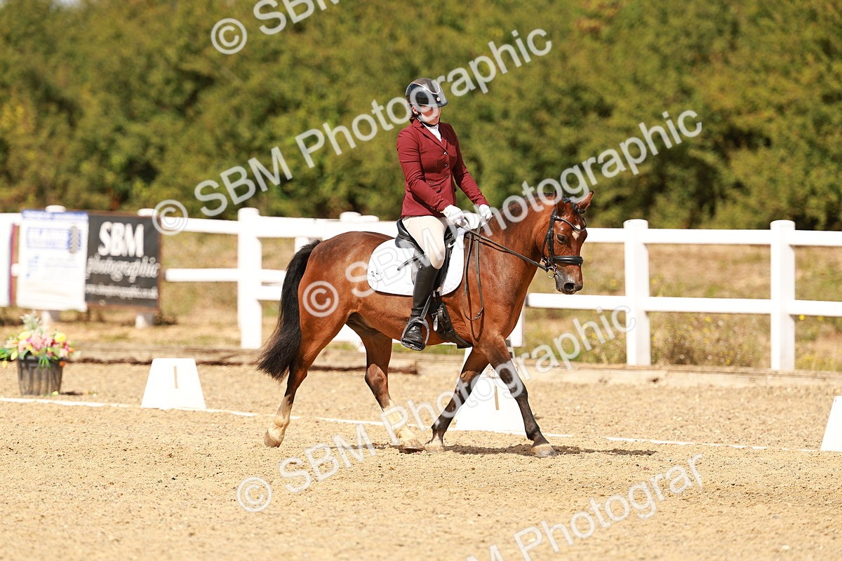 SBM_018643 - Class 9 - N5 Bronze 11.57.13.07