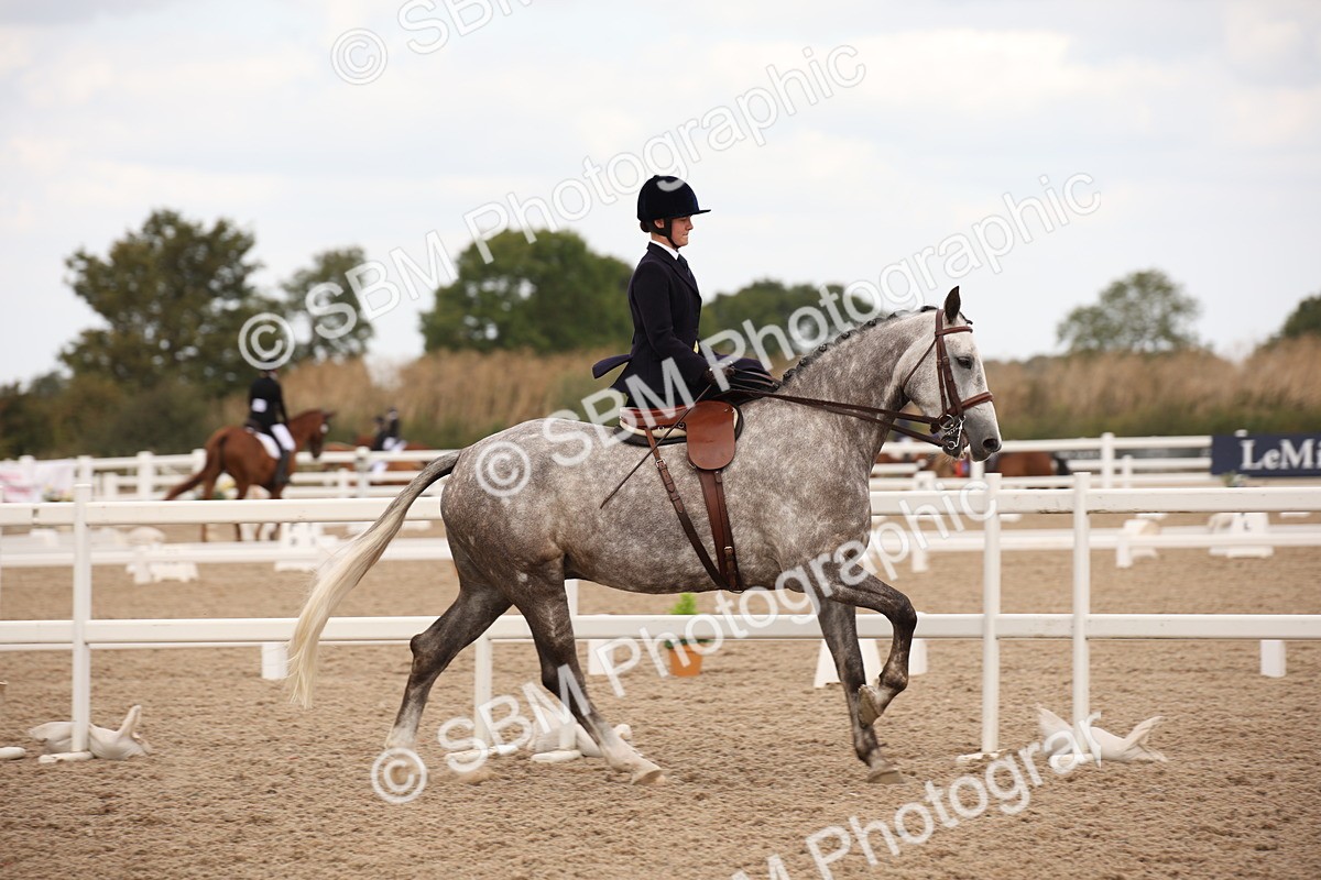 SBM_05347 - Class 22 SSA Equitation