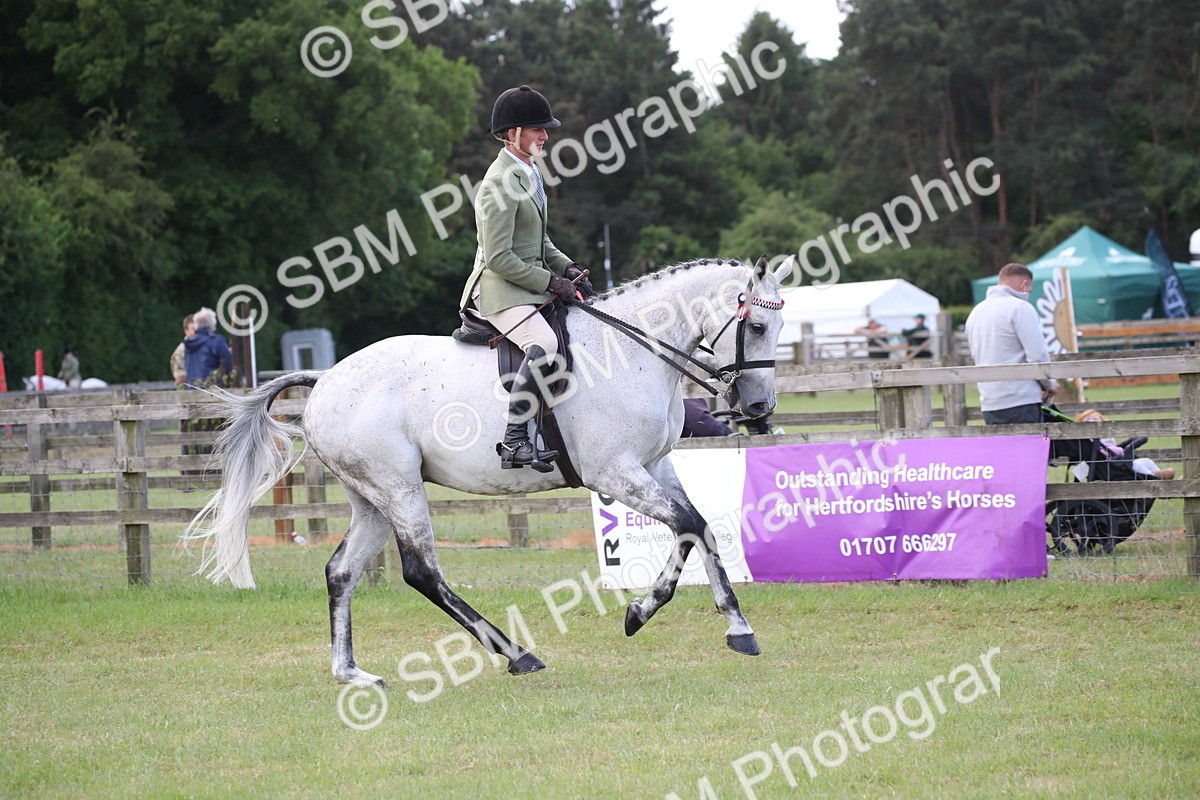SBM_14181 - Class 113-114 - Retraining of Racehorses Ridden