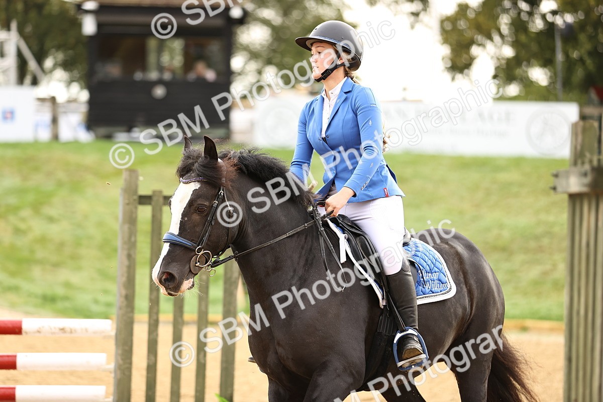 SBM_58248 - J41 - Grand Tour Horse & Pony 95cm