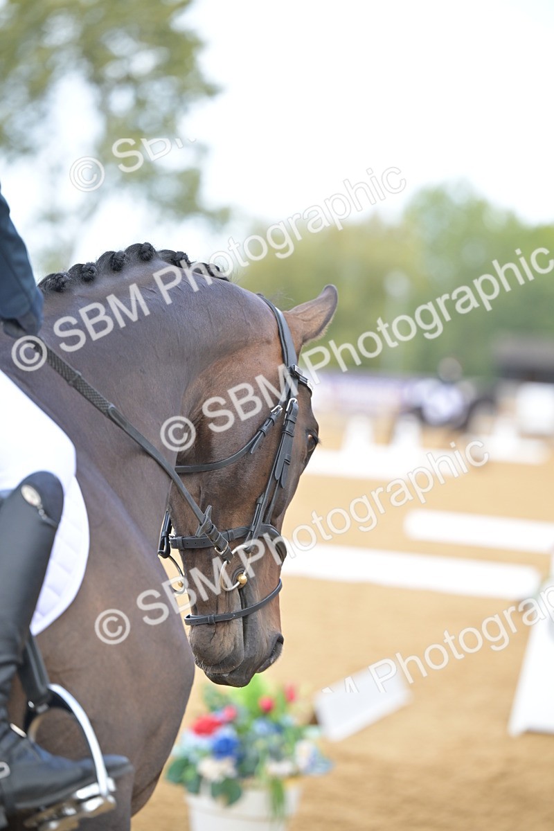 SBM_08283 - D8 - Small Tour Championship Prelim 1
