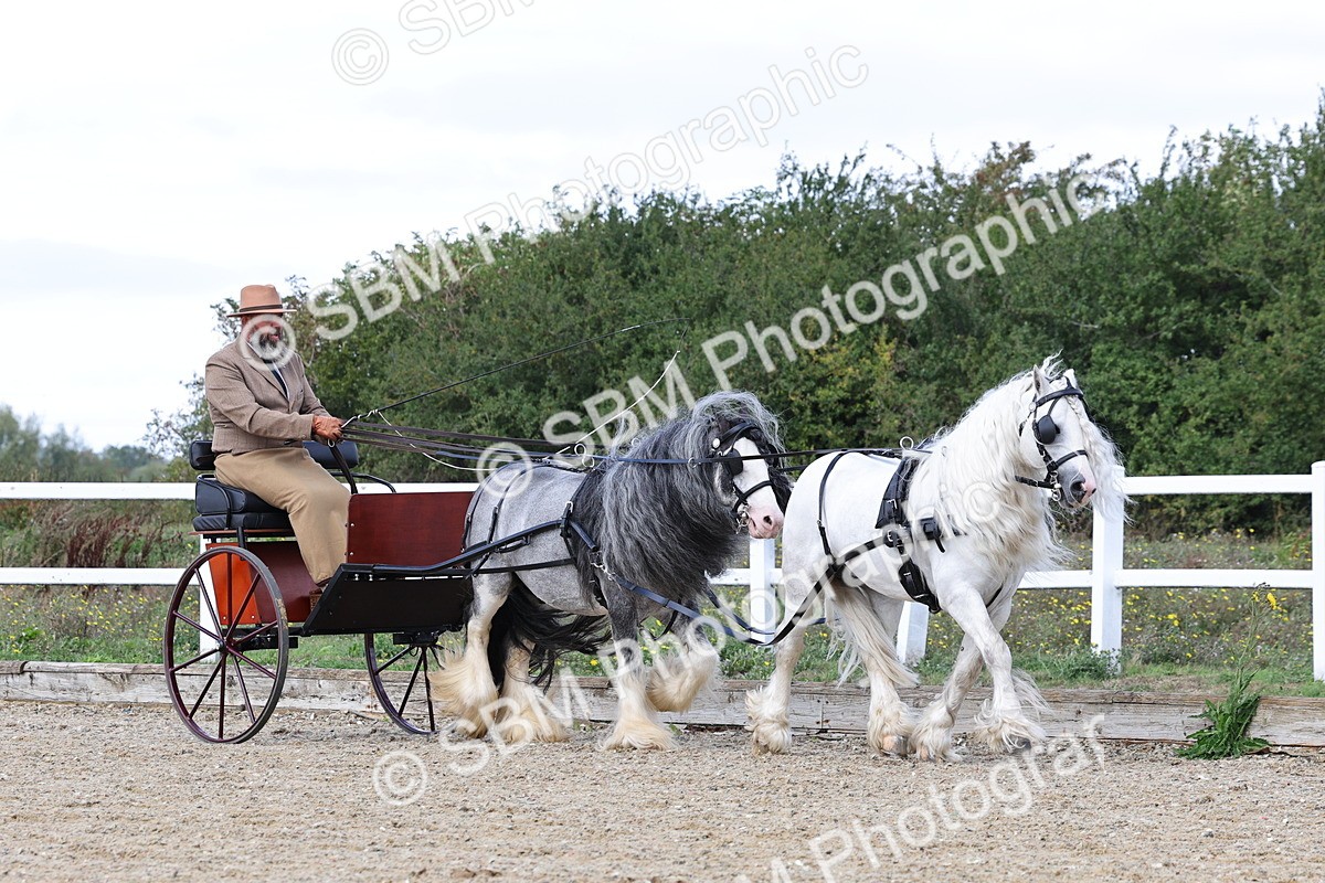 SBM_001165 - Class 16 - Pairs ,Multiples and Tandems