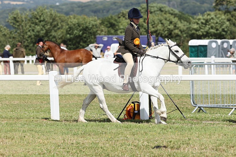 JPP_2475 - Class 19: Working Hunter 60cm