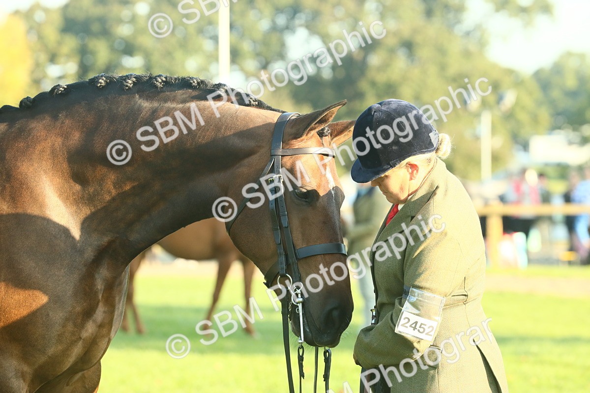 SBM_56698 - S36 - Starters Best Turnout