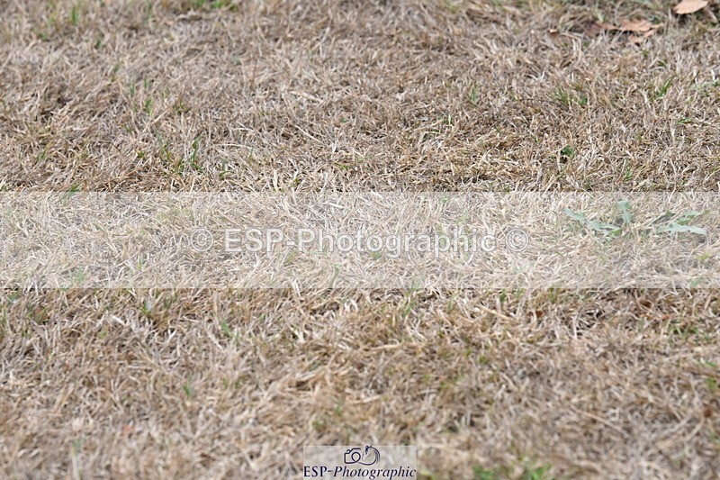 250820A-175345-12341 - Wednesday Presentations