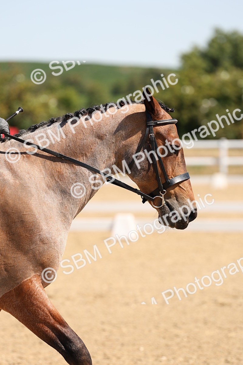 SBM_001168 - Intro 2
