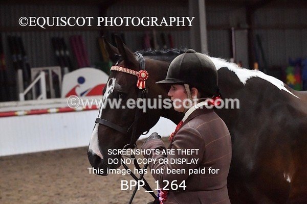 BPP_1264 - RING 2