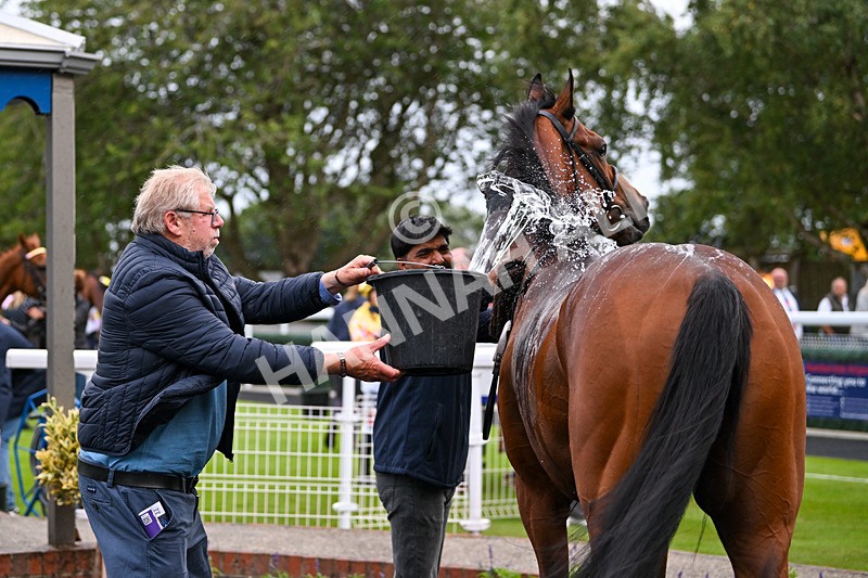 040725-Race 6-Sunny Orange-6195 - Race 6