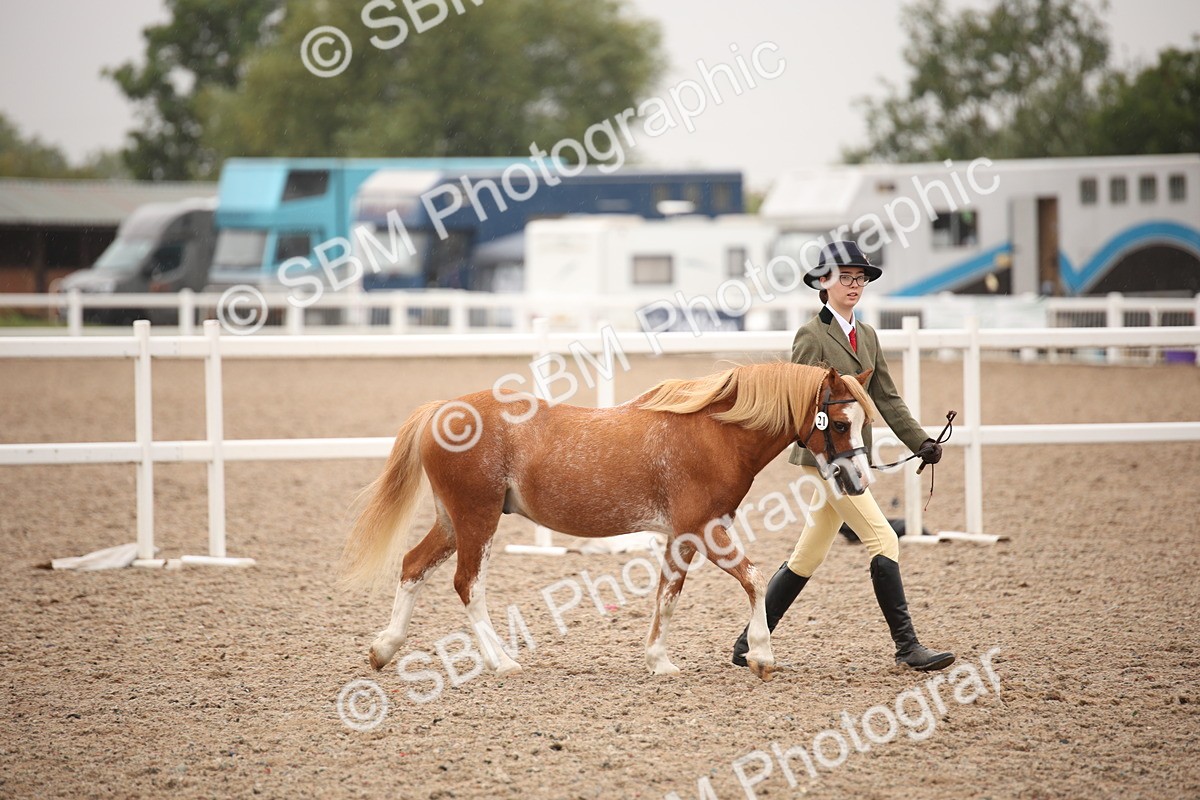 SBM_20160 - Class 703 - IH  Coloured