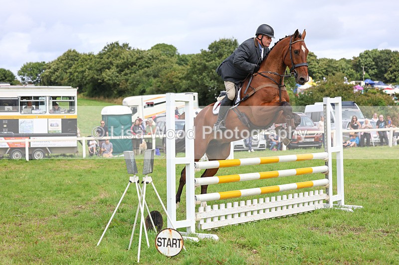 3E7A6900 - Class 5: Senior British Novice/90cm open