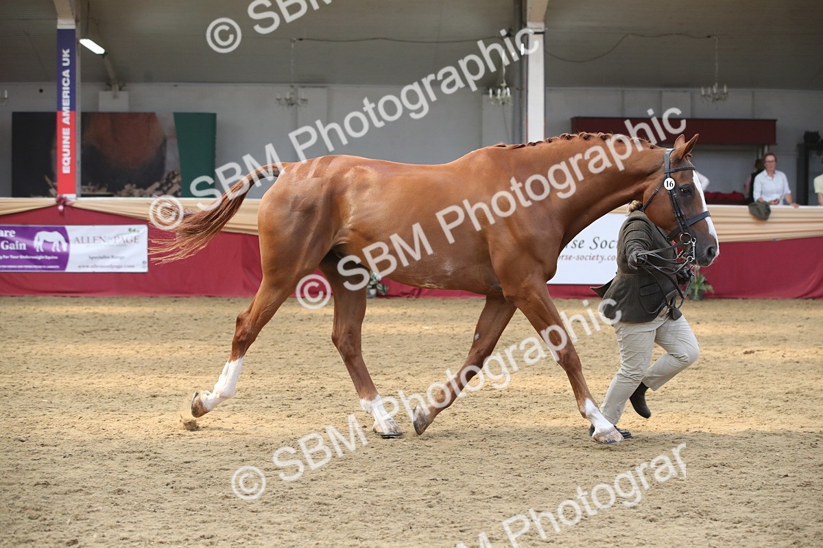 SBM_05633 - Class 9R - Regional IH Pre-Vet