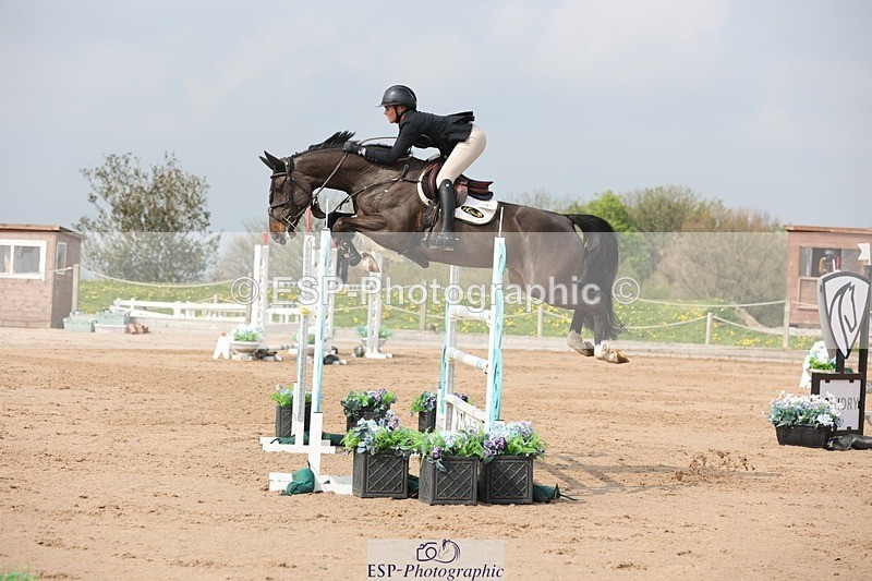 250424-105650-03312 - Cls 33 Young Horse 7yr old