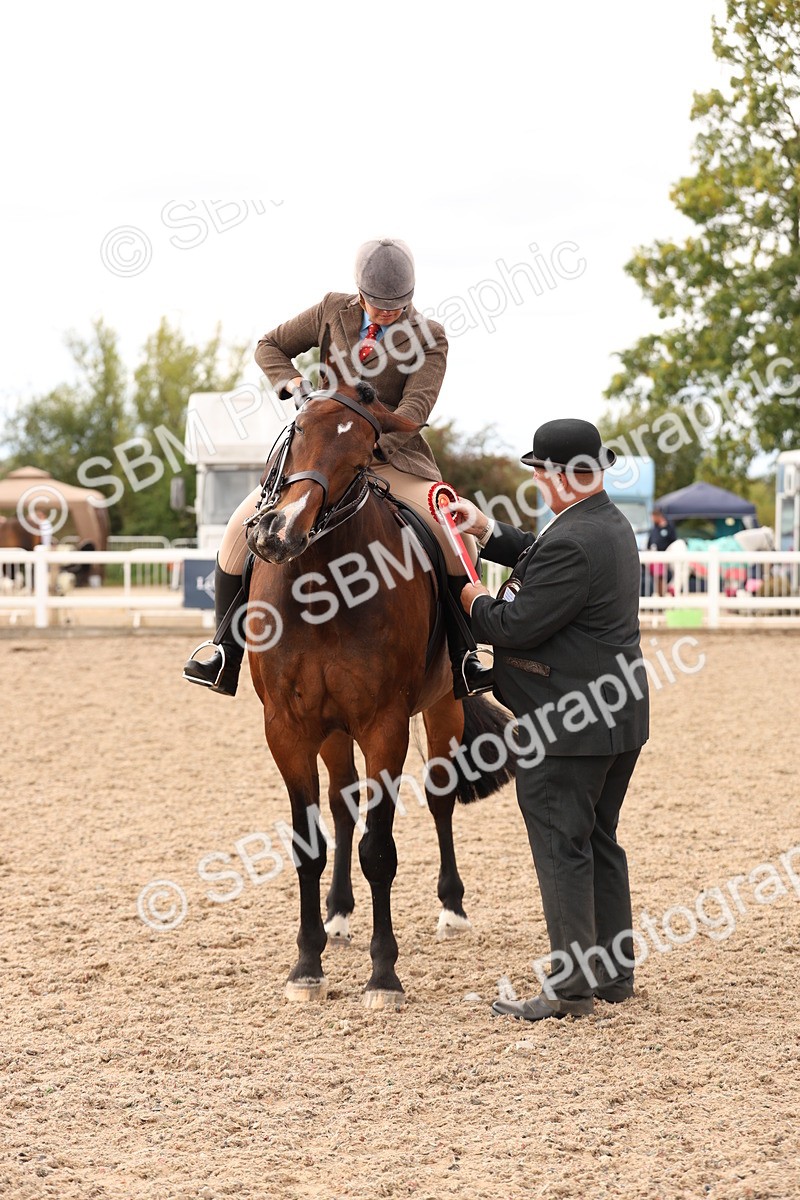 SBM_17272 - Class 213 - Ridden Hunter - Large