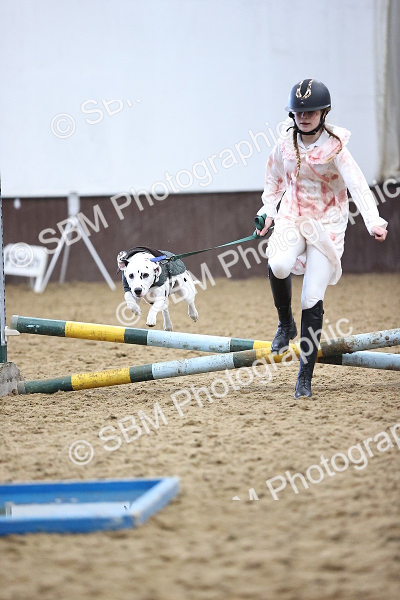 SBM_001493 - Class 3 - Horse & Hound 60cm