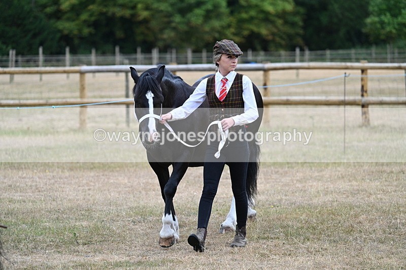 WJ7_8035 - Class 4 Prettiest Mare up to 14.2hh