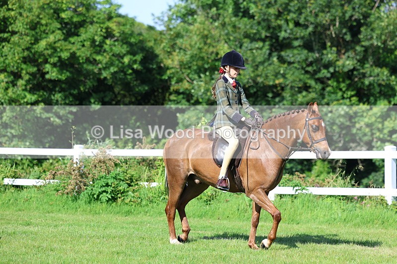 3E7A5944 - Class 27: Novice Working Hunter Pony