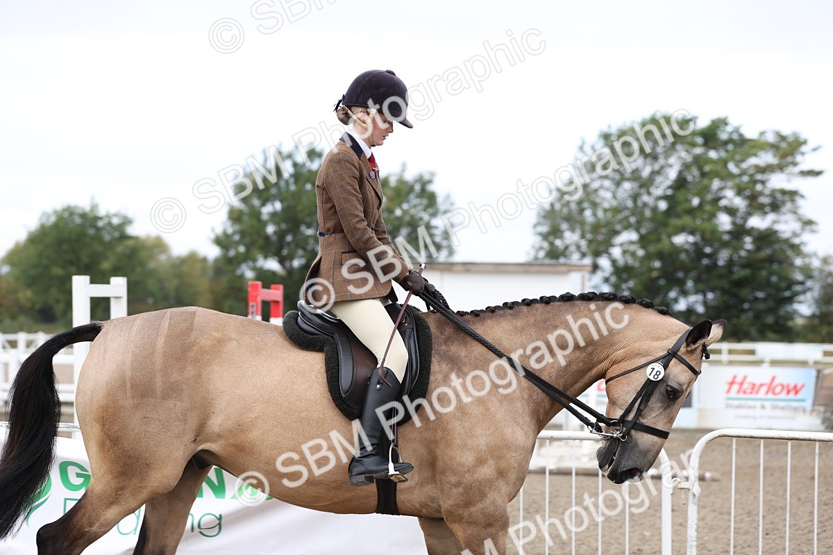 SBM_01470 - Class 52 - Ridden Veteran