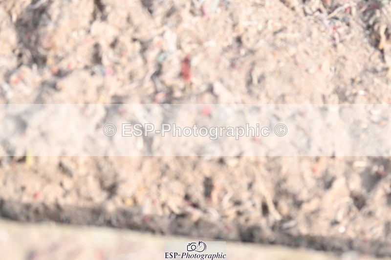 240623A-094040-16301 - Cls 45 BD Prelim 19