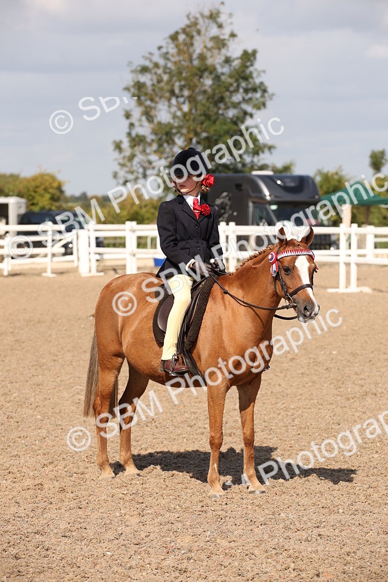 SBM_03061 - Class 17 Prettiest Mare IH or Ridden