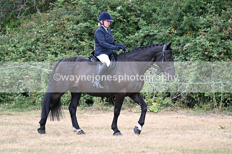 WJ7_0813 - Class 3 Family Mount