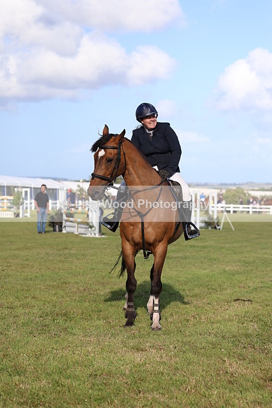 3E7A4541 - Class C: Showjumping Senior Foxhunter