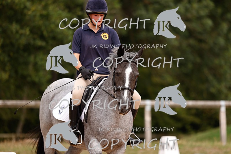 _R6A2862 - Dressage Morning
